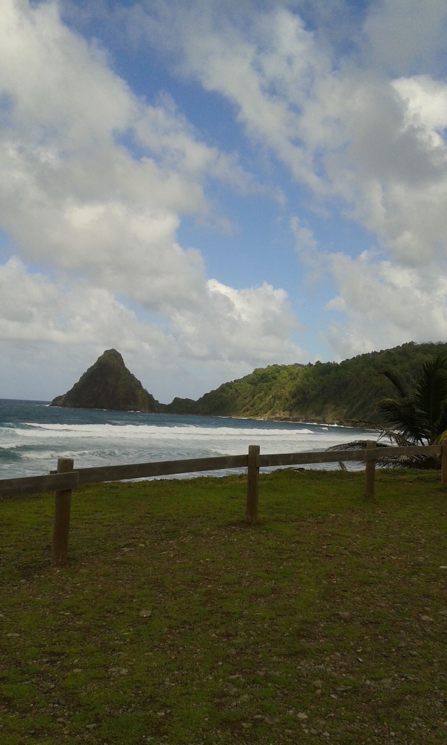 Paisaje costero con un primer plano de césped, una valla de madera y vista al océano con olas rompiendo contra un litoral rocoso.
