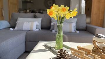 Smart-TV, DVD-Player, Bücher