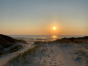Plage à proximité