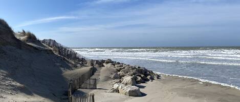 بالقرب من الشاطئ