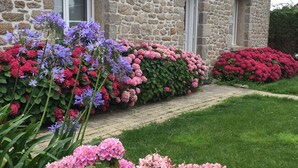 A stone house with a paved pathway leading to the entrance. - COTENTIN, SEASIDE, NICE INDEPENDENT COUNTRY CLASS 4 STARS 8 PEOPLE (Réville)