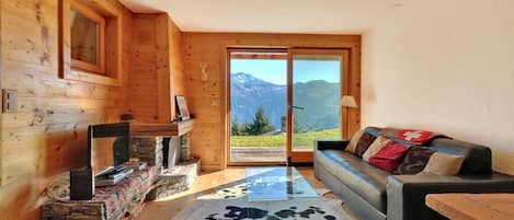 Télévision, cheminée, lecteur de DVD