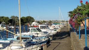Eine Marina mit mehreren Booten, die an einer Holzpromenade vertäut sind.