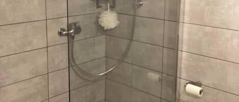 A glass-enclosed shower stall with a handheld showerhead, a wall-mounted faucet, and a toilet paper holder on the wall.