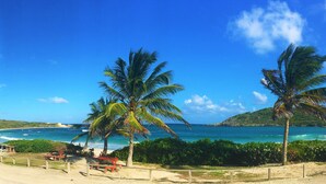 A beach with palm trees, a sandy path, and a view of the ocean.