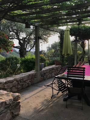 تناول الطعام بالخارج