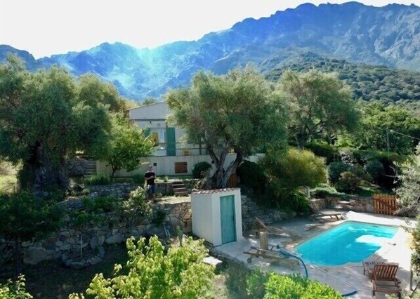 حمّام سباحة خارجي، حمّام سباحة مُدفَّأ