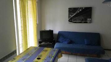 Een televisie, een dvd-speler en een filmbibliotheek