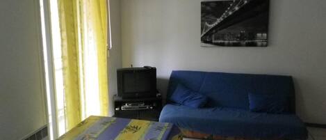 Televisión, reproductor de DVD, videoteca, estéreo