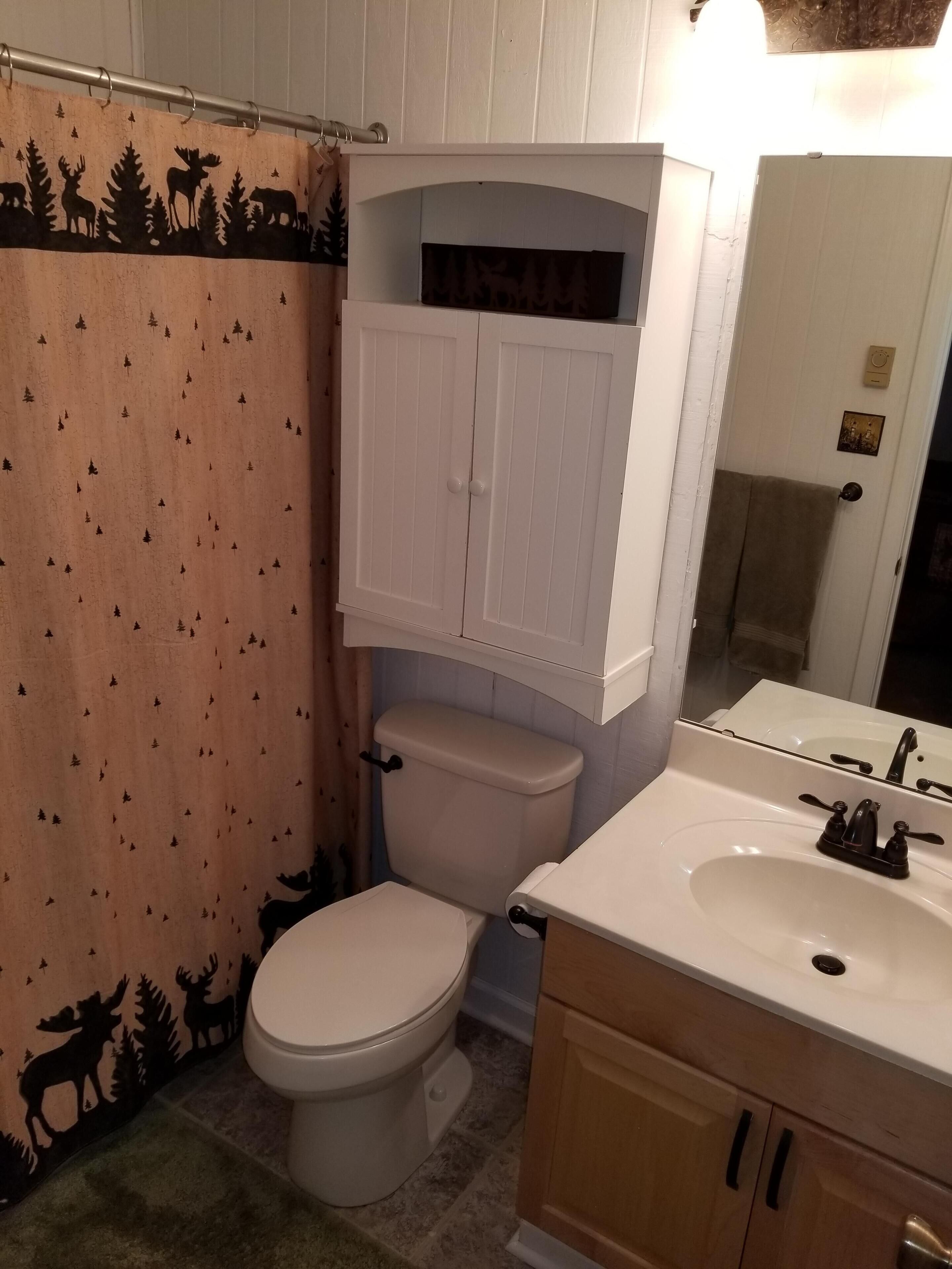 A bathroom with a toilet, sink, and cabinet.