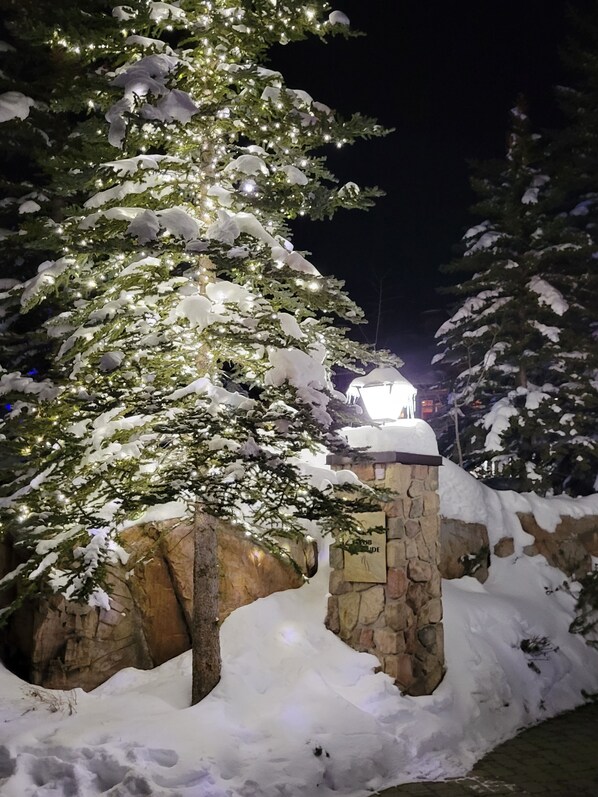 Terrain de l’hébergement 