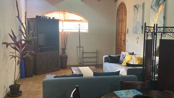 TV, DVD player, books, video library