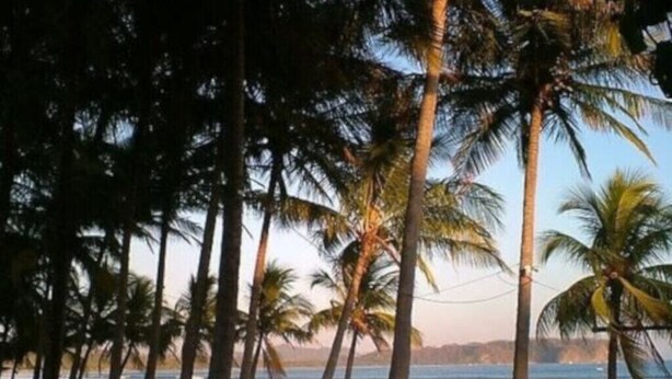 A beach with palm trees and a person sitting on the sand. - Large condo. Home away from home! (Sámara)