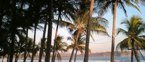 Beach nearby, sun-loungers, beach towels