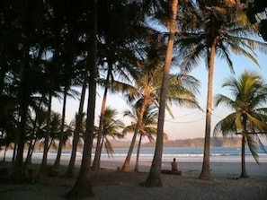 A beach with palm trees and a person sitting on the sand. - Large condo. Home away from home! (Sámara)