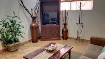 Télévision, lecteur de DVD, livres, vidéothÚque