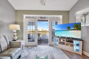 TV, video games, DVD player, books