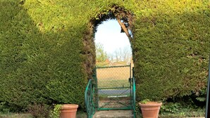 Un camino de piedra que conduce a una verja verde enmarcada por un arco de seto.