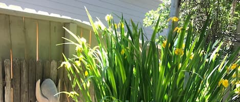 DĂ©tail de lâextĂ©rieur