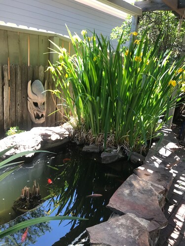 Close to Garden of the Gods and Mountains!