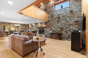 Televisión, chimenea, reproductor de DVD y libros