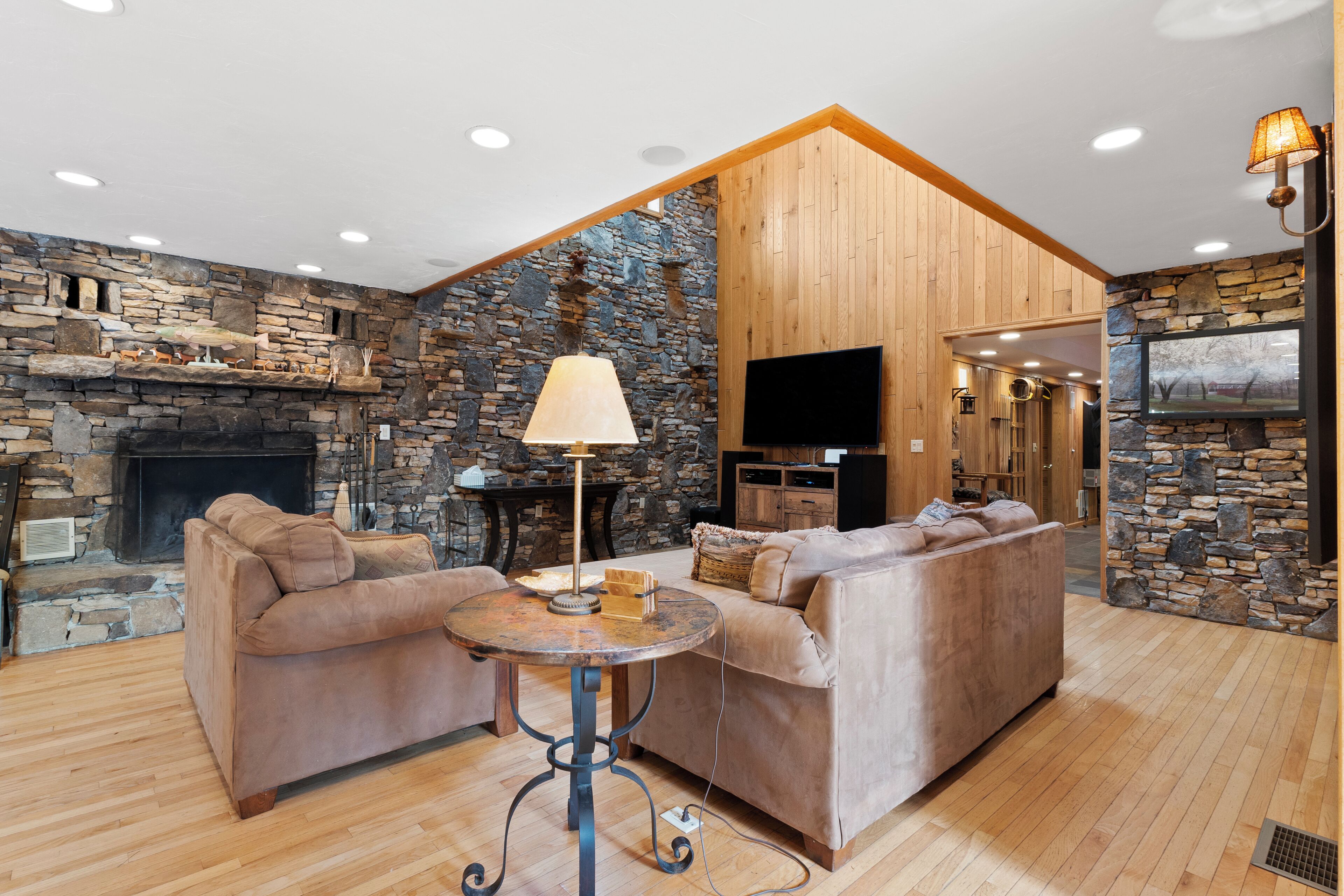 Télévision, cheminée, lecteur de DVD, livres