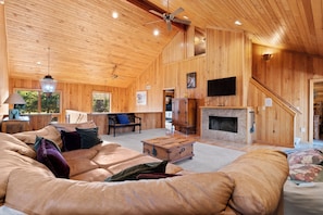 TV, fireplace, DVD player, books