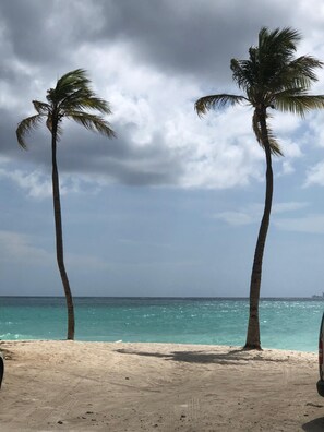 Plage, chaises longues, serviettes de plage