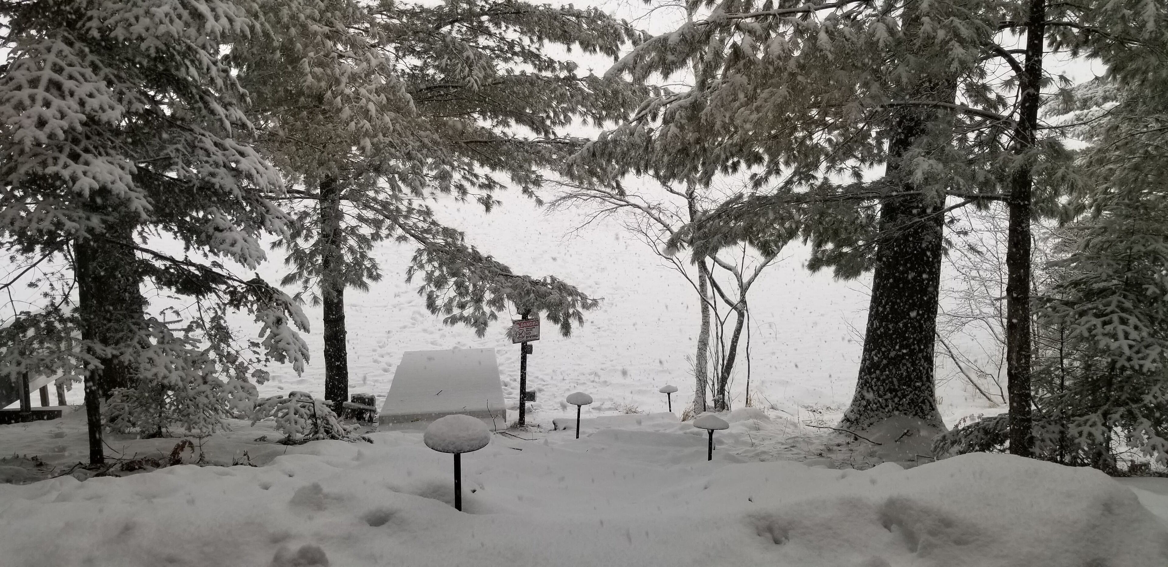 Terrain de l’hébergement 