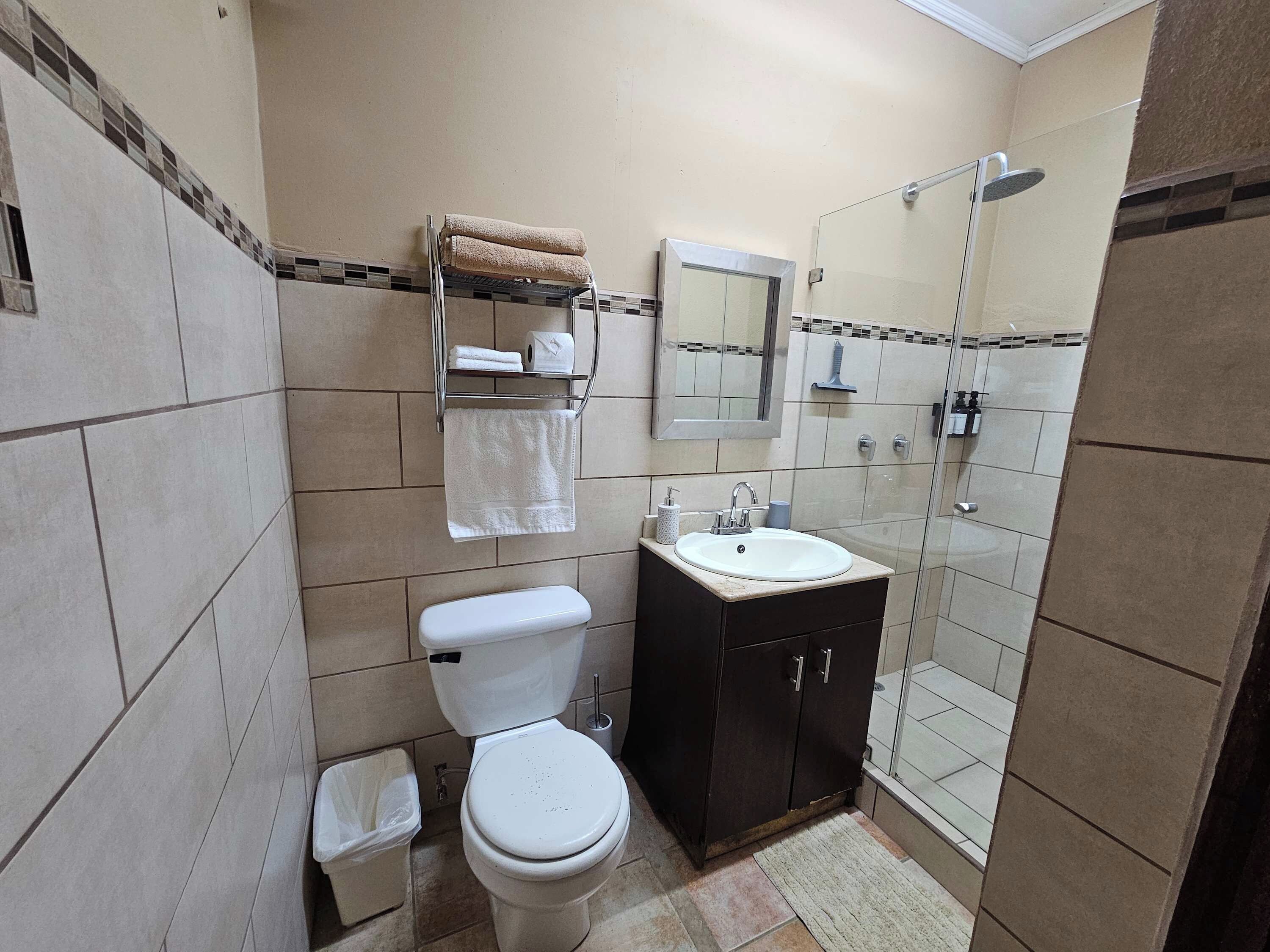 Un baño con inodoro, lavamanos y ducha.