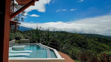 An infinity pool with a view of a lush green landscape and mountains in the distance.