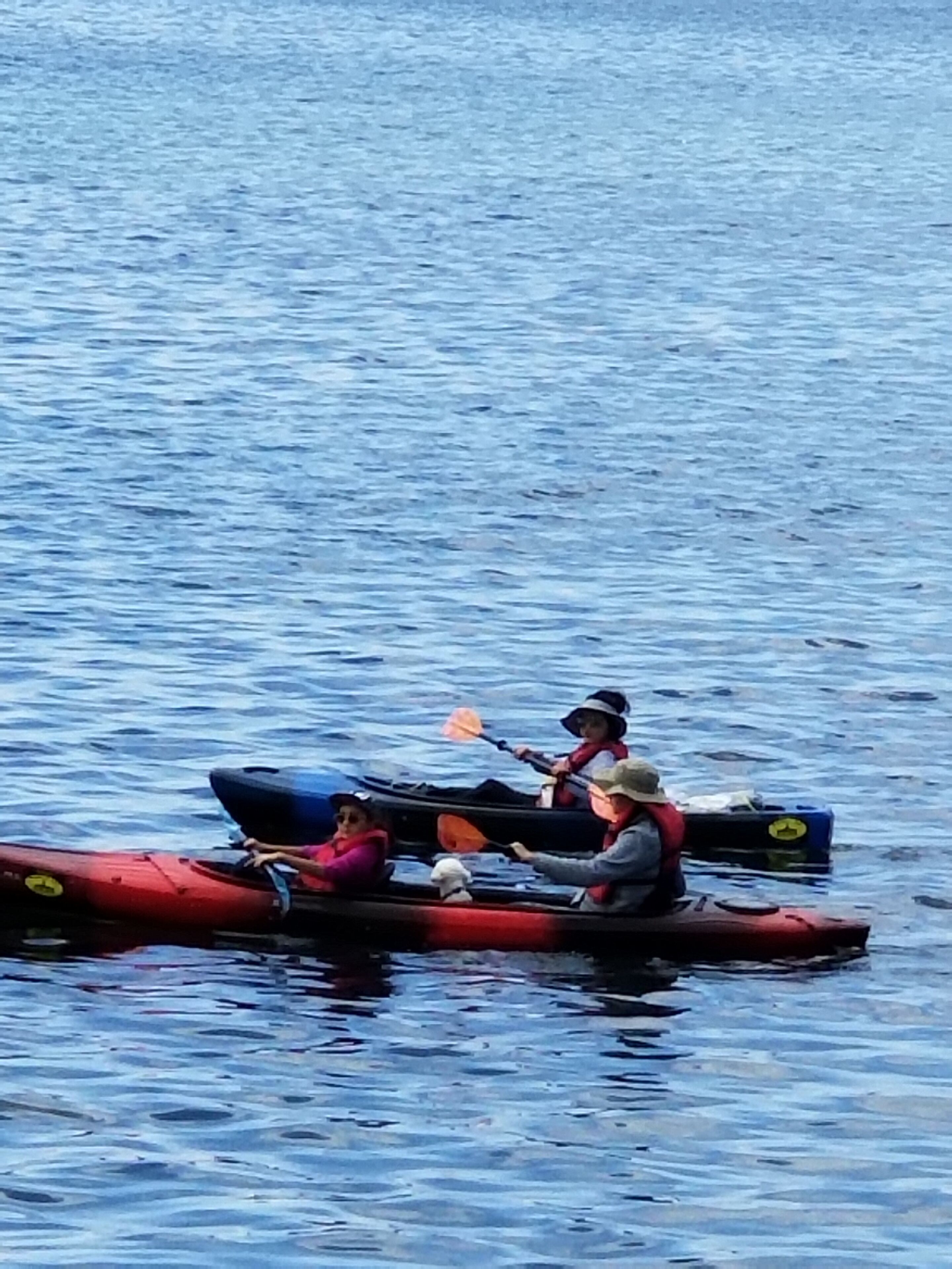 A red canoe with three people paddling on calm water.