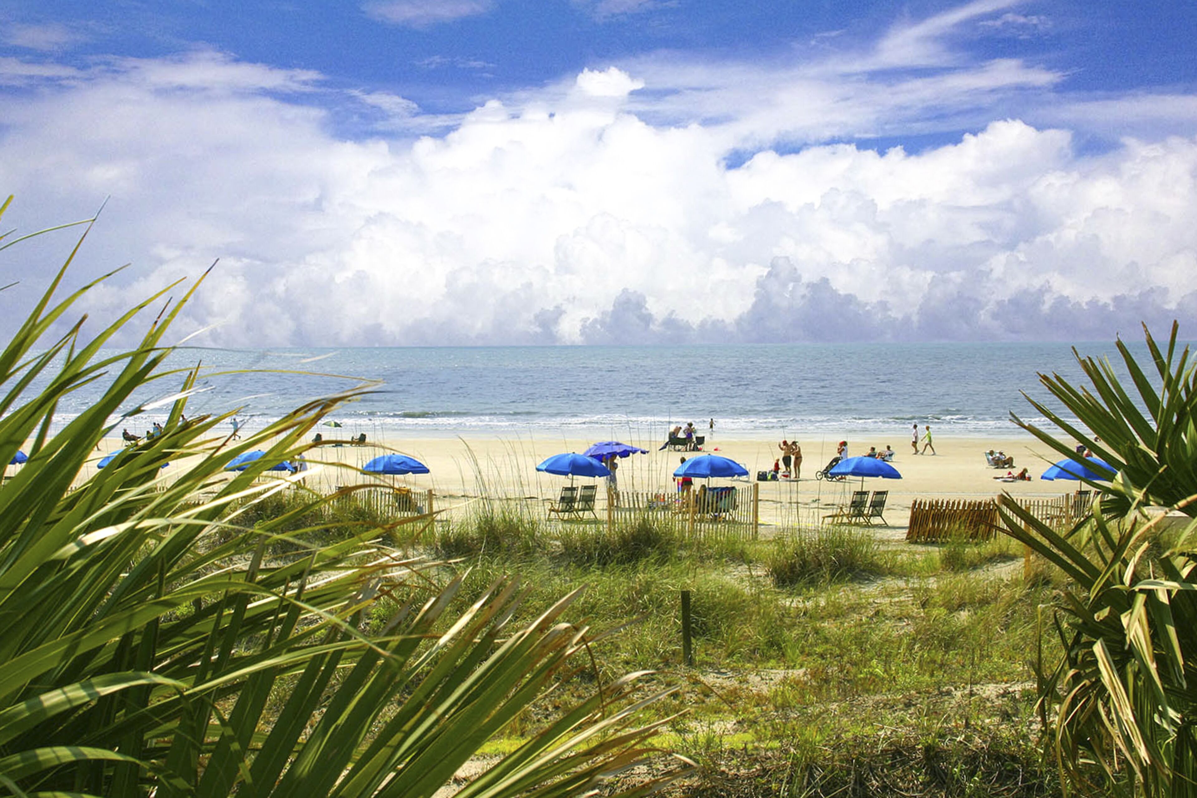 Playa en los alrededores 