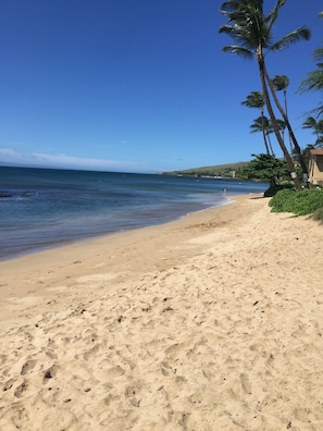 Une plage avec une eau d’un bleu limpide, un rivage sablonneux et des palmiers.