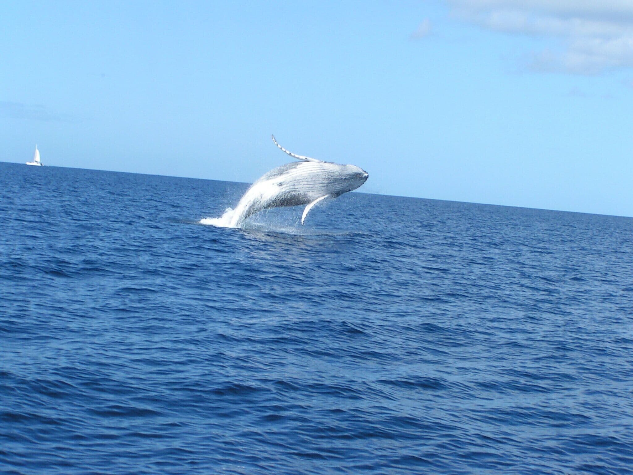 On the beach, sun loungers, beach towels