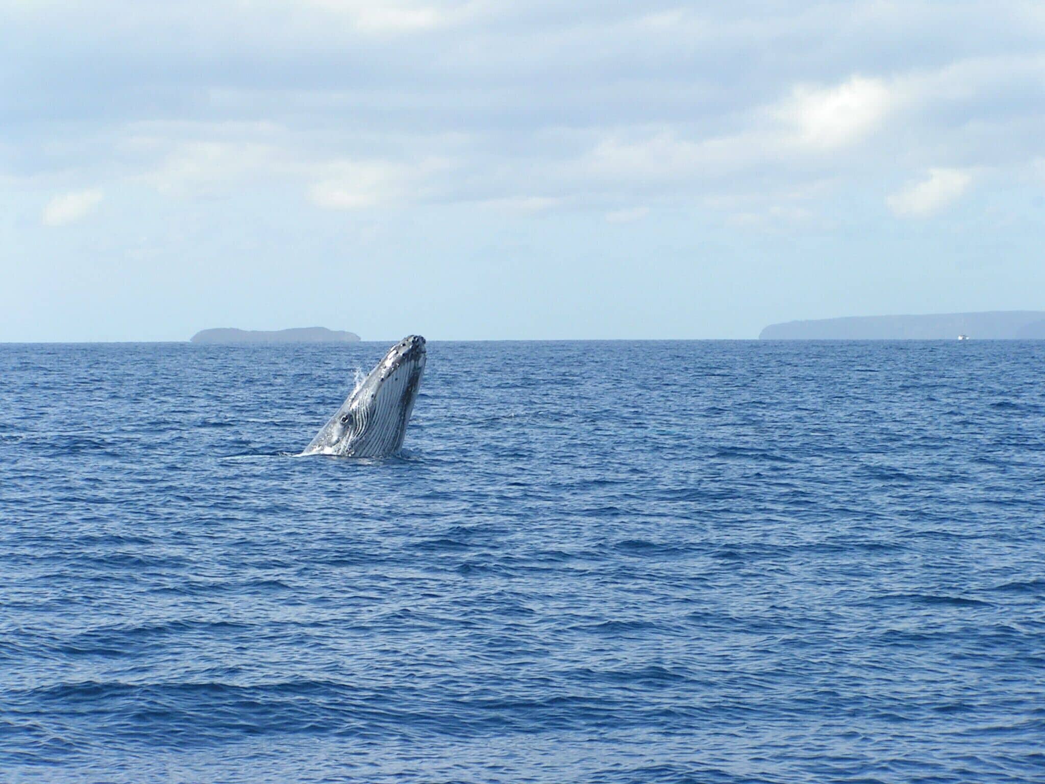 On the beach, sun loungers, beach towels