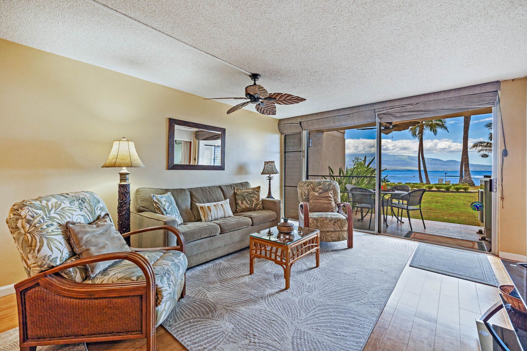 Smart TV, DVD player, books, music library