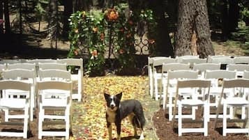 Outdoor banquet area
