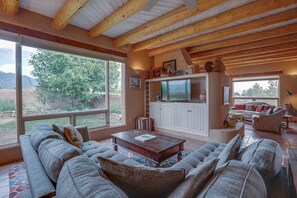 Smart TV, fireplace, books, stereo