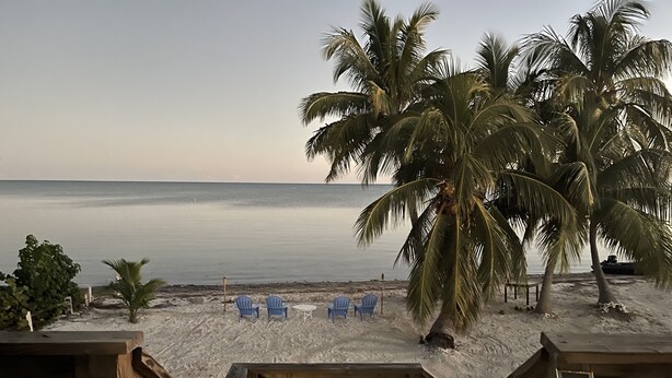 A wooden deck with a railing, overlooking a sandy beach with palm trees and a calm sea.