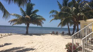 A beach with palm trees, a sandy shore, and a view of the ocean.