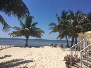 A beach with palm trees, a sandy shore, and a view of the ocean. - Oceanfront Sandy Beach Vacation Rental Unit 1 (Marathon)