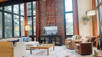 Smart TV, chimenea, reproductor de DVD y libros