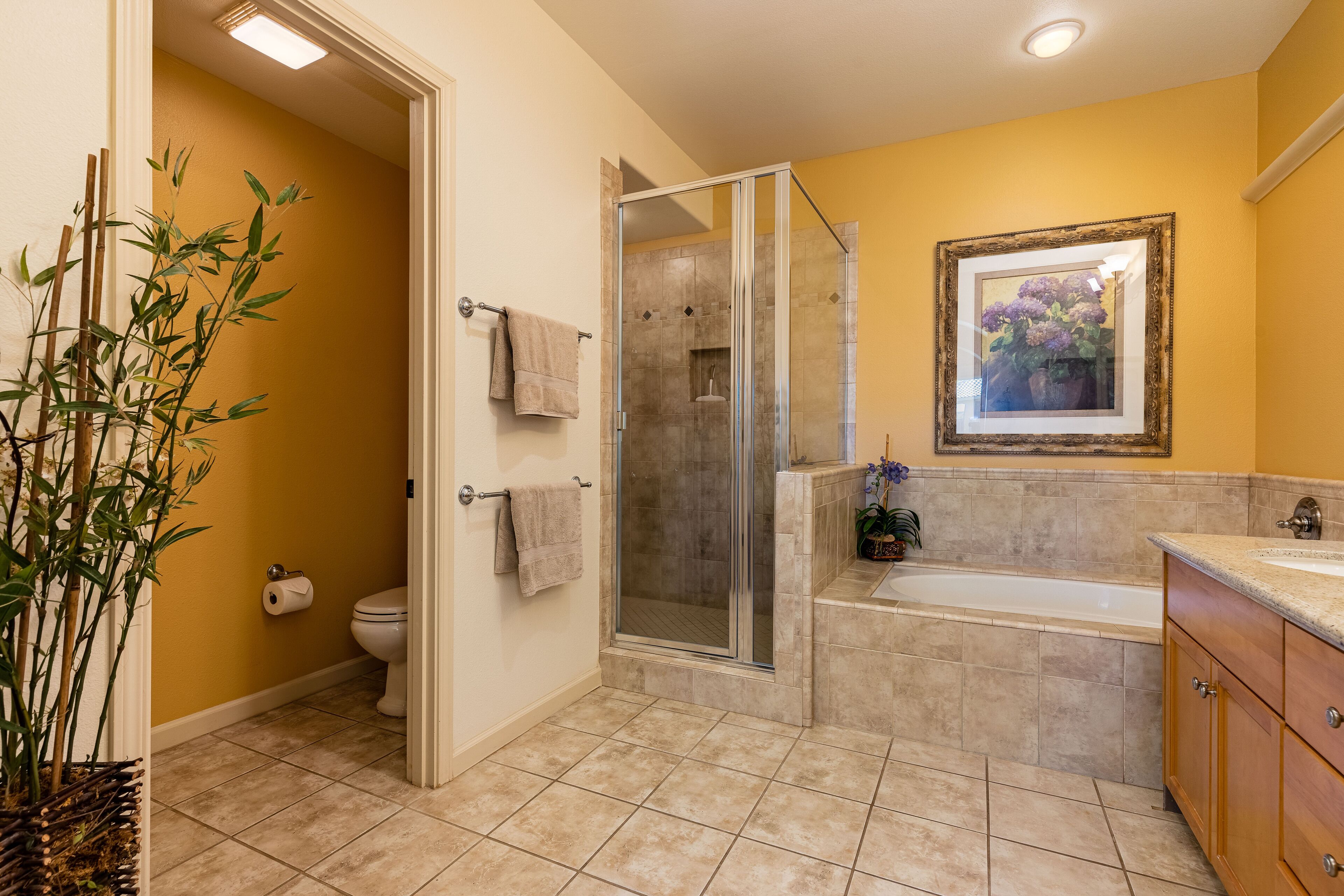 A bathroom with a shower, toilet, and sink.