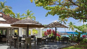 Un espace de restauration en plein air, avec des tables et des chaises, entouré de palmiers et offrant une vue sur l’océan.
