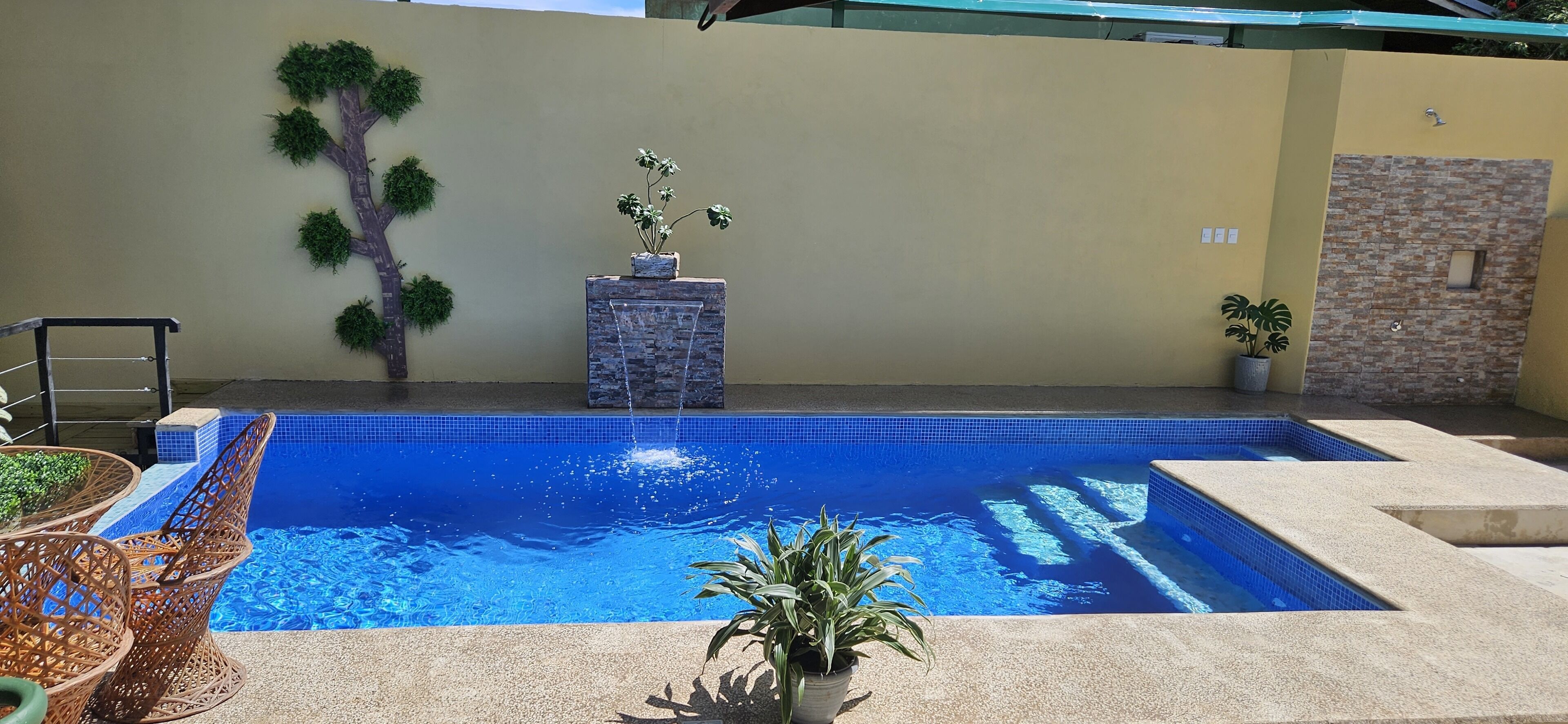A swimming pool with a clear blue water surface, surrounded by a beige wall with a decorative tree and a small potted plant.