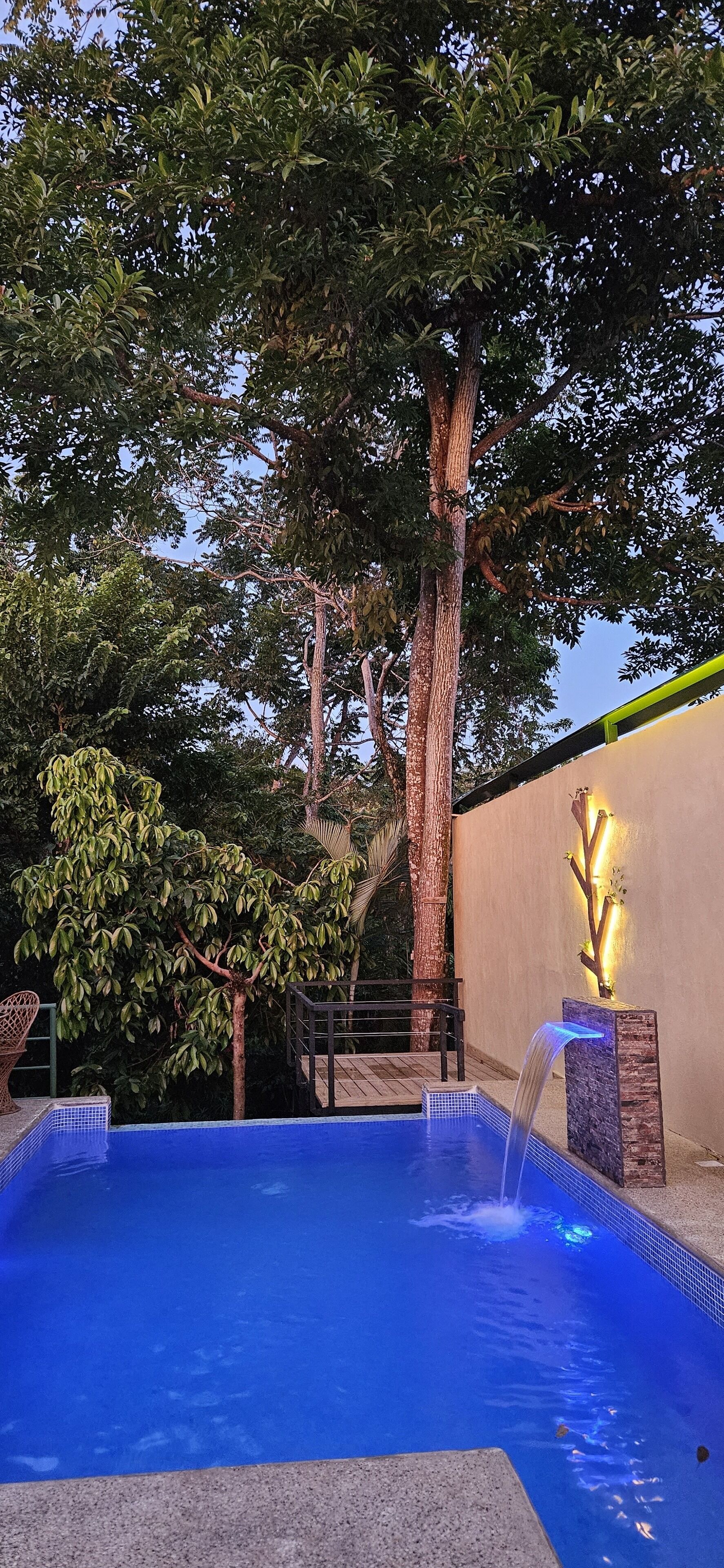 A swimming pool with a waterfall feature, surrounded by trees and a wall with a decorative tree light.