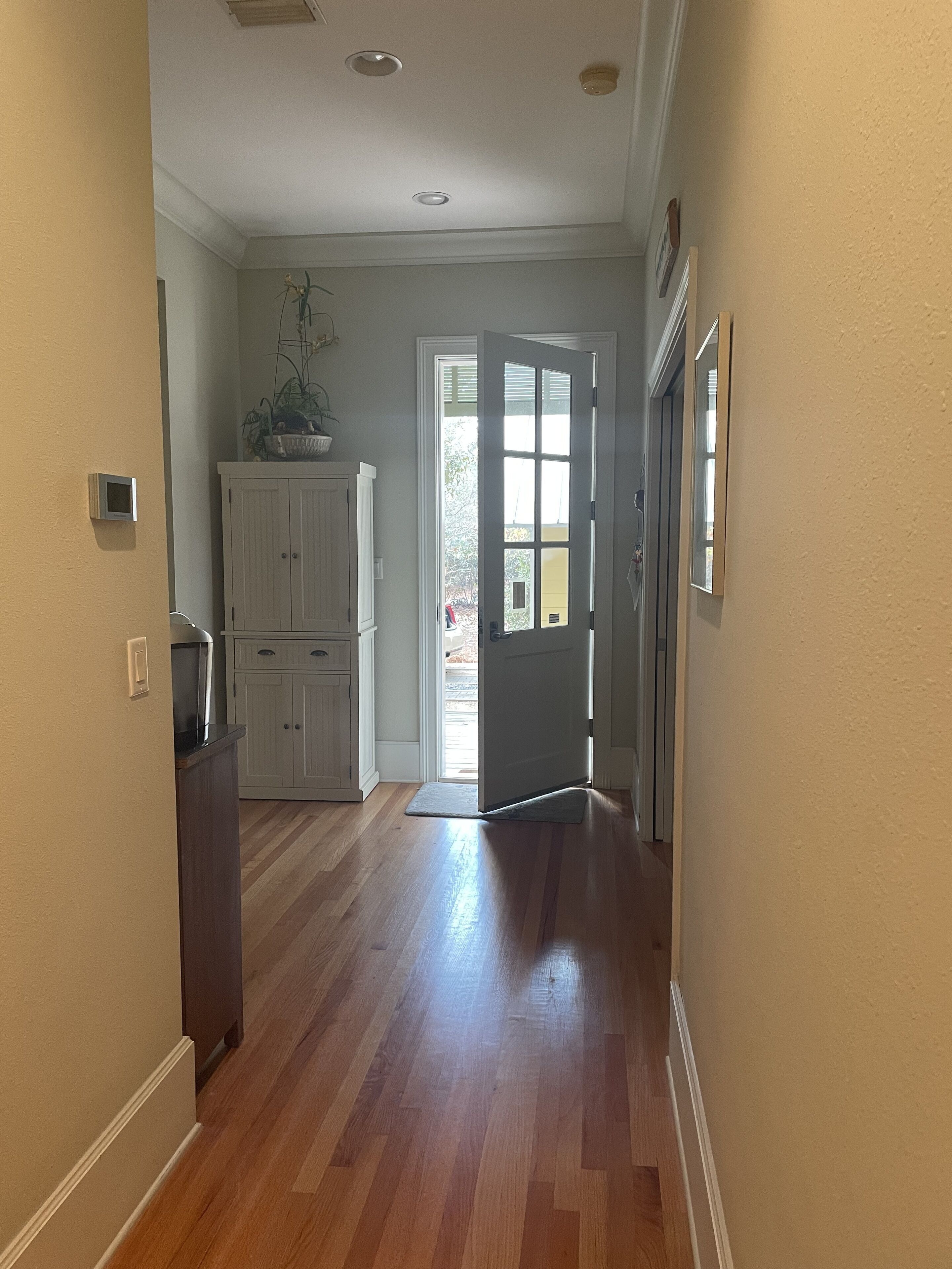 A hallway with wooden flooring, a white door, and a cabinet with a plant on top.