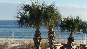 A wooden boardwalk leading to a beach with palm trees and a clear view of the ocean. - Spacious 1BR/1.5BA Beach Condo/Low-Density Complex: Booking for Spring & Summer (Orange Beach)