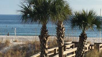 A wooden boardwalk leading to a beach with palm trees and a clear view of the ocean.